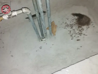 井陉卫生间测漏水价格明细